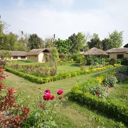 Racy Shade Resort Pvt.Ltd. Bardiya Exterior foto